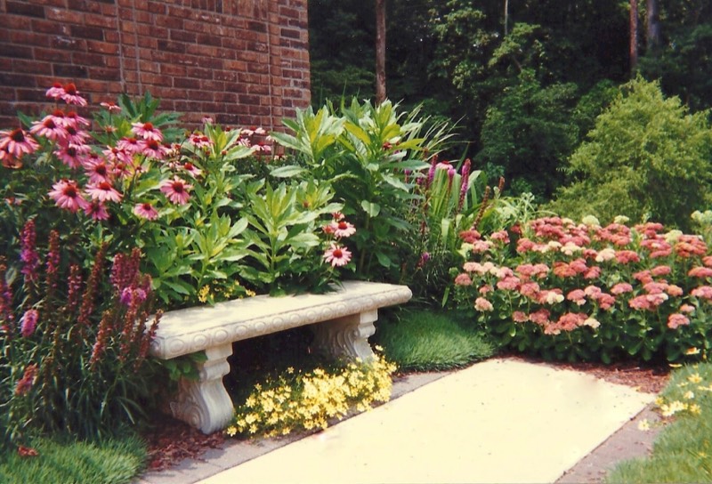 Shades of pink perennials